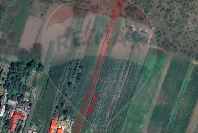 Teren Construcții intravilan de 4996 mp, în Câmpuri - 3