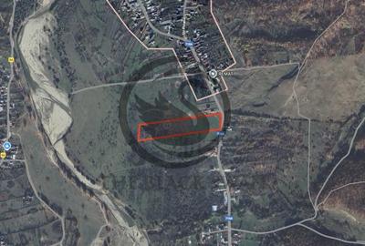 Teren de 26908 mp, în Iedera - 1