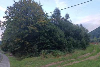 Teren de 1000 mp, în Băile Tușnad