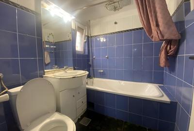 Lovely house with private pool in Herastrau-In complete renovation! - 11