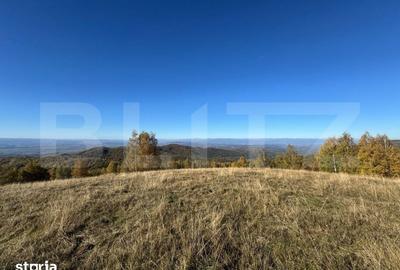 Teren de 54722 mp, în Boș