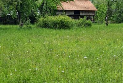 Teren de 1240 mp, în Vad