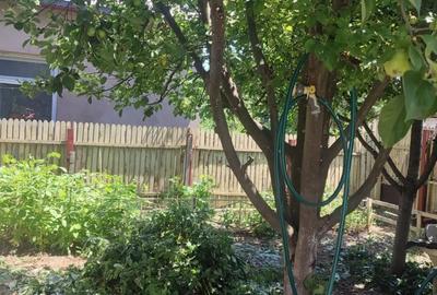 Vand casa Comuna Floresti, Jud.Giurgiu - 5