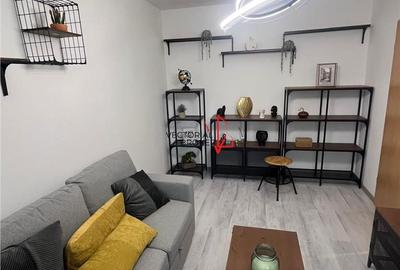 Apartament cu 2 camere decomandat, mobilat în Dristor - 13
