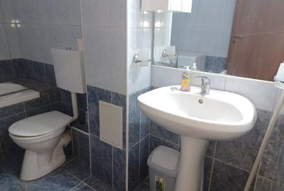 Studio de inchiriat Tractoru' - 10