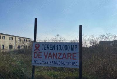 Teren de 10000 mp, în Săcălaz - 2
