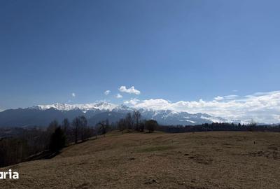 Teren de 4584 mp, în Moieciu - 2