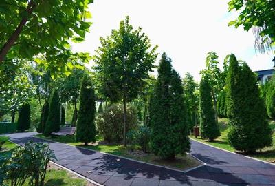 Apartament cu 5 camere decomandat, mobilat în Floreasca - 20