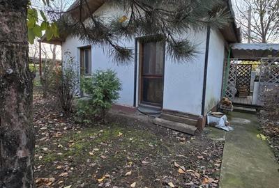 Exclusivitate! Proprietate Sendreni, zona linistita, 69.000 EUR - 10