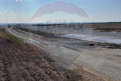 Teren 12,800mp Carcea / Strada Sergentului - 5