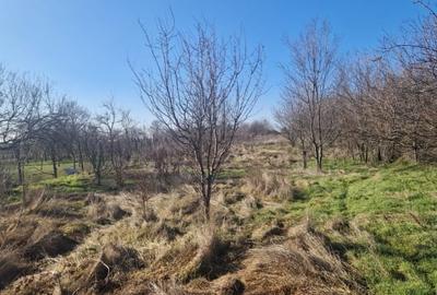 Teren Construcții intravilan de 1528 mp, în Ghercești - 10