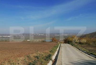 Teren extravilan 5000 mp, Uricani - 1