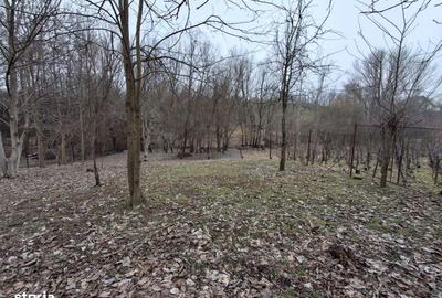 Casă cu 4 camere în Preajba - 7