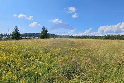 Teren partial intravilan 30,930 mp Poiana Stampei-DN E58, Suceava - 9