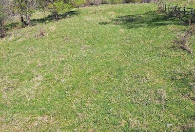 Teren de 3600 mp, în Central - 7