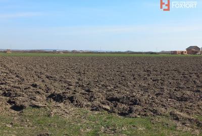 Teren Construcții intravilan de 11600 mp, în Remetea Mare - 2