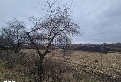 Spațiu comercial, în Moara - 1