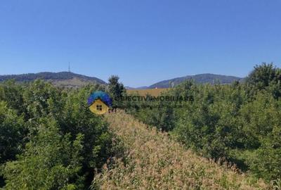 Teren de vanzare 1935 mp Piatra Neam? - Str. Plantelor - 4