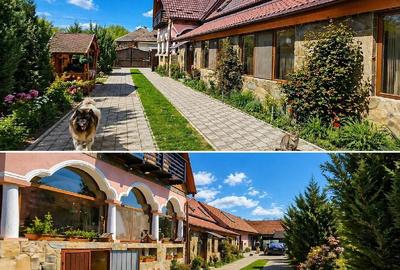 Casă cu 4 camere cu Teren 1500 Mp în Dridif - 2