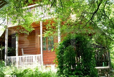 Teren de 14000 mp, în Mihai Viteazu - 3