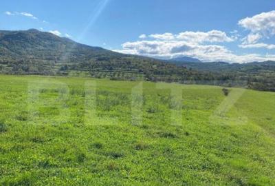 Teren intravilan Joseni Bargaului - 3