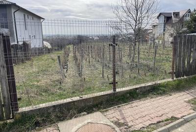 Spațiu comercial, în Blejoi - 2