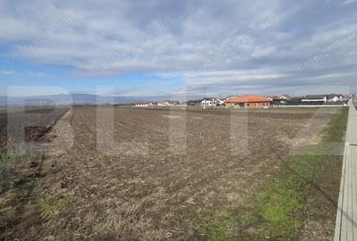 Teren de 14300 mp, în Ciugud - 2