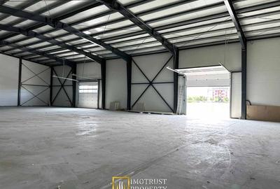 Hala industriala noua de inchiriat – 350 mp | Arad Micalaca Est - 3