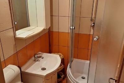 Apartament cu 1 camera - zona Tudor Vladimirescu - 3