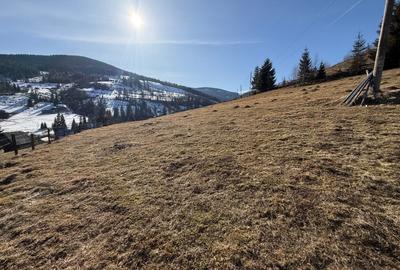 Teren Construcții intravilan de 12500 mp, în Galbena - 5