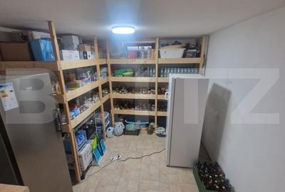 Casa moderna P+1 Lux , Izvor  individuala 5 camere plus pivnita , curte si anexe - 14