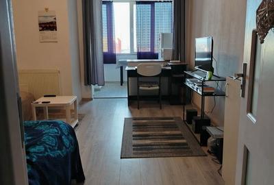 Garsonieră în Valea Borcutului - 8