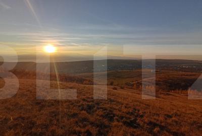 Teren de 8600 mp, în Sălicea - 6