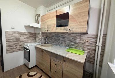 Apartament cu 2 camere de inchiriat ultracentral - 4