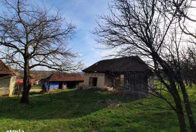 Teren de 17800 mp, în Sâg - 3