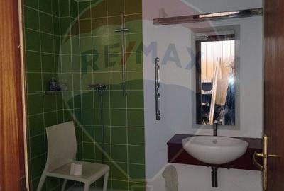 Spațiu comercial, de 318 mp, în Bucureștii Noi - 5