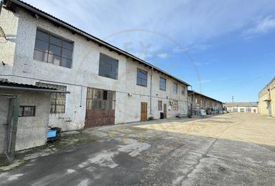 Cladire Industriala Hala Productie, Depozitare, Birouri-Teren 3140 mp - Carei - 2