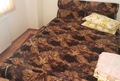Imobil Mosoaia - Hintesti, 14 camere, teren 1.382mp - 12