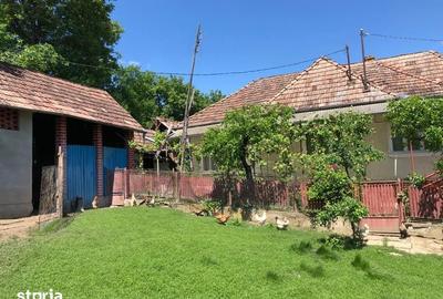 Casă cu 3 camere semidecomandat cu Teren 1350 Mp în Râciu - 13