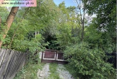 Casa in constructie de vanzare: Aricesti Zeletin,(teren 3100 mp) - 2