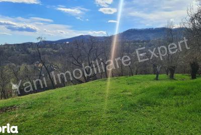 Teren de 3011 mp, în Bradu - 5
