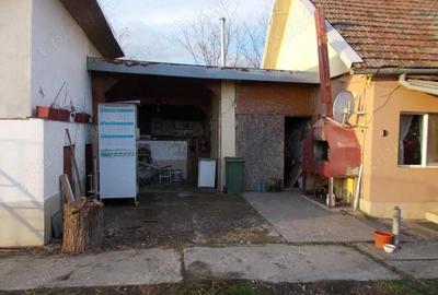 Casă cu 4 camere cu Teren 1350 Mp în Beregsău Mic - 6