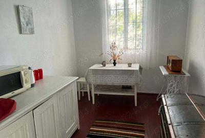 Vand casa, curte generoasa in Lisna, judetul Botosani - 6
