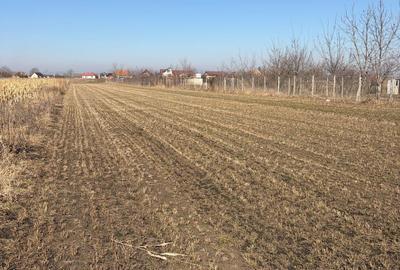 Teren Construcții intravilan de 6000 mp, în Stupini - 3