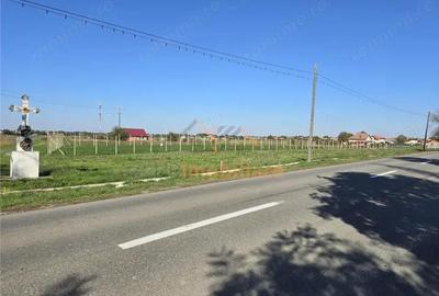 TEREN INTRAVILAN | 1400 MP | GIRISU DE CRIS - 1