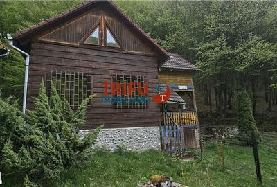 Casă cu 4 camere cu Teren 891 Mp în Ighiu - 15