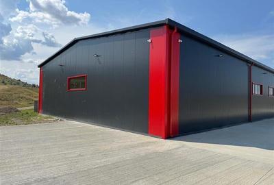 Parc Logistic in Miroslava alcătuit din 5 hale - 5