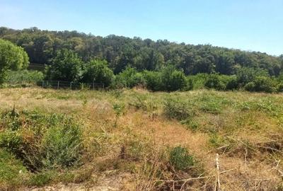 Teren de 519 mp, în Găneasa - 6