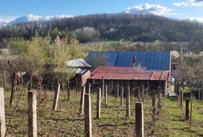 Casă cu 3 camere cu Teren 1558 Mp în Central - 4