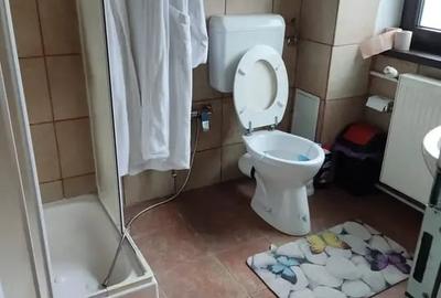Resedinta cu 8 camere in Orasul Breaza - 9